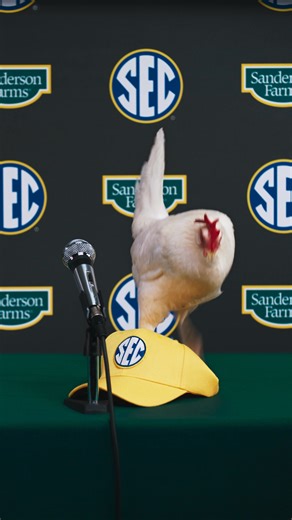  We are proud to be the official chicken of the @SEC. Chicken and sports. They just go together. | Sanderson Farms Chicken | Facebook