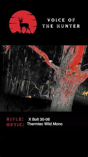 Dropping A Sambar Stag