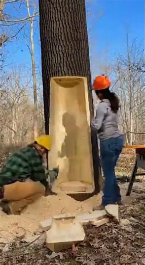 Dead Tree Log Turned Into a Cozy Mini Cabin 😳 | 15s Realistic Build✨#shorts #treehouse #asmr #diy