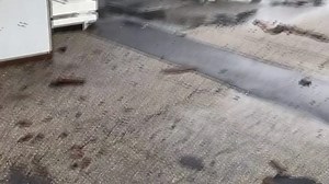 70K views · 183 reactions | Video taken by Jon Bailiff shows a waterspout in Santa Cruz taking part of the roof off the Dolphin Restaurant at the end of the wharf! Look closely. | KSBW TV Action News 8 | Facebook