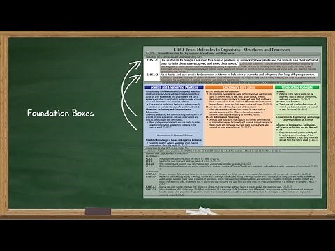 (NGSS) What are Performance Expectations? | California Academy of Sciences