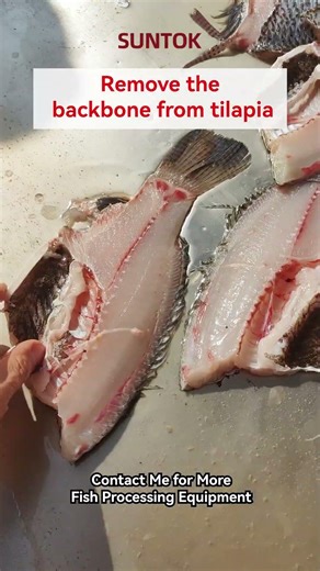 Fish filleting machine for tilapia