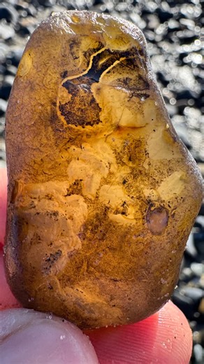 TidewaterAgates_PNW on Instagram: "Kinda reminds me of Robin from Batman 😂 #robin #agate #agatehunting #batmanrobin #rockhound #beachcombing #asfound #gem #gems #gemstones #crystal #crystals #beachfinds #chalcedony #fossicking #oregoncoast #oregonagates #iloverocks #beachwalks #tidepools #hidengems #hiddentreasurer #geology #bandedagate #explore #hobby #polishedagate #blueagate #carnelian"