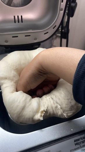 Pooja Roy on Instagram: "what ALL you can do in a BREAD MAKER✨ Episode 1: Perfect Pizza Dough . . . . . . (Pizza dough recipe, pizza base recipe, bread maker, bread recipe, bread machine, series, food, pizza recipe, sourdough, bread, pizza dough, bread making, homemade bread) #pizzarecipe #bread #sourdough #breadmaker #breadmaking #pizzadough #pizzabase #homemadebread #sourdoughbaking #airfryer"