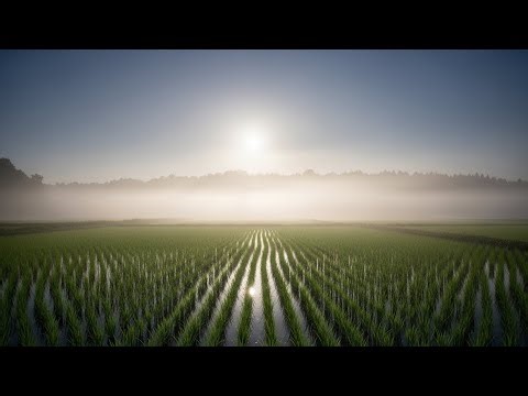 Chill Lofi Twilight-Wind Textures Drifting Across Moonlit Fields With Soft Calming Air