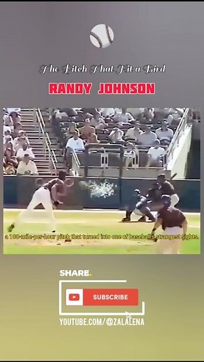 Randy Johnson — The Bird Incident (2001 Spring Training)