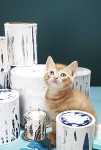 How to Mix Latex Paints Together