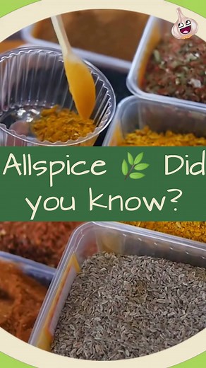 Top 10 Benefits of Allspice for Health