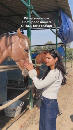 EQUEST - horse rides and chill on Instagram: "Our Picnic with Horses is a slow, dreamy experience — no rush, no crowd, just you, nature and our gentle horses 🐎✨ What’s included: • Guided interaction with our horses • A relaxed countryside picnic setup • Time to unwind, take photos, paint, journal or simply sit in nature • horse riding (beginner-friendly & supervised) Available slots: Saturday – 9:30 AM & 2 PM Sunday – 9:30 AM & 2 PM Location: Sector 128, Noida Each slot is limited to maintain a