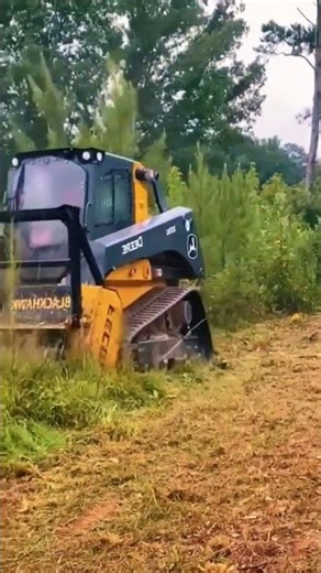 Garden Tool Lawn Edger Work Demo｜D2 Oct 2025