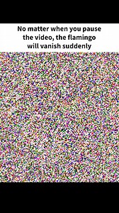 7.8K views · 17 reactions | No matter when you pause the video, the flamingo will vanish suddenly | Awesome | Facebook