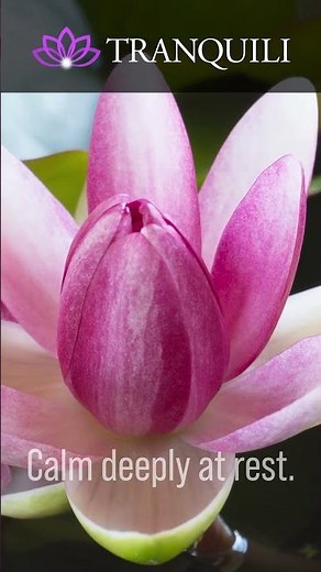 Female Guided Sleep Meditation for Healing Mind Body and Spirit #shorts