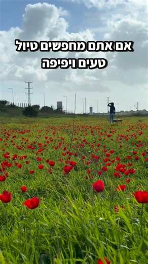 פתוח בסופ״ש, צבעוני והכי מפתיע שיש - טיול קסום בממלכת השרון הצפוני✨👇🏻 • העונה הכי יפה של ישראל הגיעה, והיא כאן לרגעים ספורים וזו באמת חוויה מטורפת - אז שווה לכם לעקוב כבר מעכשיו כדי להכיר חוויות מדהימות ‪@idangoldwasser‬ ✨ אתם זוכרים את המוטו שלי? לא צריך לנסוע רחוק כדי למצוא את הנקודות היפות בארץ, ויש פה המלצה זהב לאזור שהוא הכי הבית שלי 🏠- השרון. עמק חפר הוא החלק העליון למעשה של אזור השרון, והוא החלק עם הטבע הכי פראי שיש שמעטים מכירים. ☕️ יחד עם עגלת הקפה המעולה והכלכך כייפית ״אשרק׳ה״ שפתוח