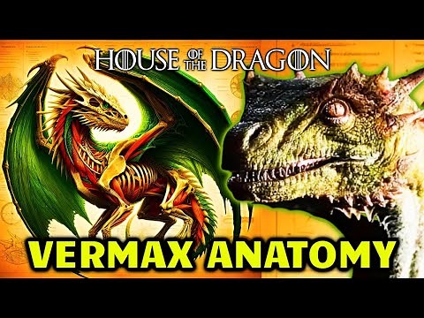 Vermax Anatomy Explored - Can It Get Bigger Than Balerion? Why Does It Have Different Colored Fire?
