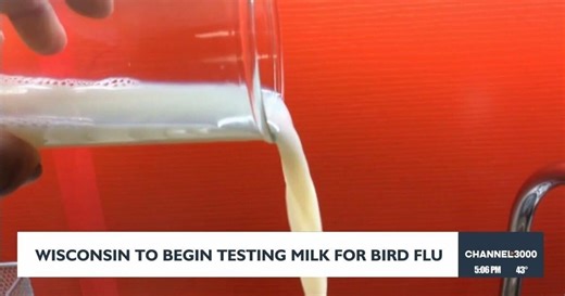 Dairy state among final to test milk for avian flu with USDA