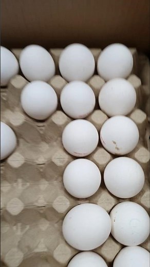 How to Poach the Perfect Egg | Easy Step-by-Step Guide 🍳