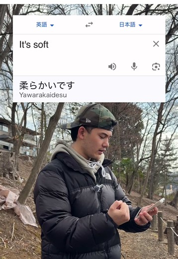 Understanding Softness in Japanese Language