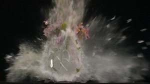 Flower Vase Explosion Stock Footage SBV-300080766 - Storyblocks