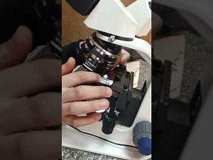 how to use microscope for histopathology exam