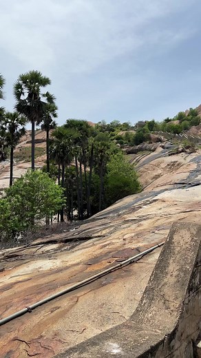 14K views · 476 reactions | Gorgeous outfit 拾 Cash on delivery available for all collection like Saree, kurti and more Reseller are most welcomeFacebook page linkhttps://www.facebook.com/profile.php?id=100090106702323&mibextid=ZbWKwLInstagram page linkhttps://instagram.com/cash.on.delivery.avaliable?igshid=ZDdkNTZiNTM= | Bala Kirthi | Facebook