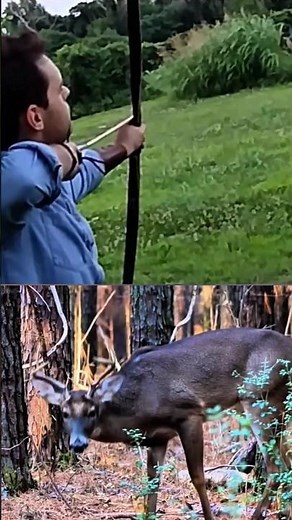 Epic Wild Deer Hunting with a Bow | Perfect Archery Shot