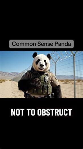 #fyp #ice #bp #true #viral | panda