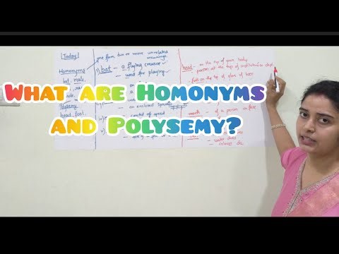 What are Homonyms and Polysemy?#englishlearning #longvideo
