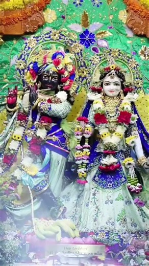 Radhe Radhe 🩷😍🙏|Radha Krishna| shorts|# shorts