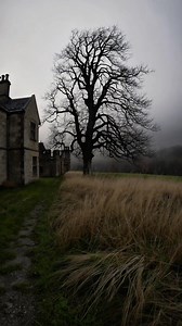 Left behind but never erased, this forgotten house blends into the landscape like it was always meant to stay. Nature doesn’t rush — it simply reclaims. #abandonedhouse #forgottenhomes #lostplaces #urbex #abandonedmansion #creepyplaces #derelict #abandonedworld #urbanexploration #forgottenplaces | Mysterious Places