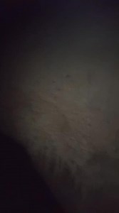 3.9K views · 193 reactions | Good morning ninyong tanan #jkjrtv | Jake Canencia | Facebook