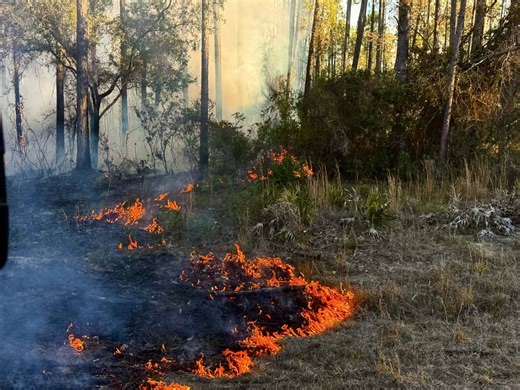 Georgia wildfire risk spikes as thousands of acres burn