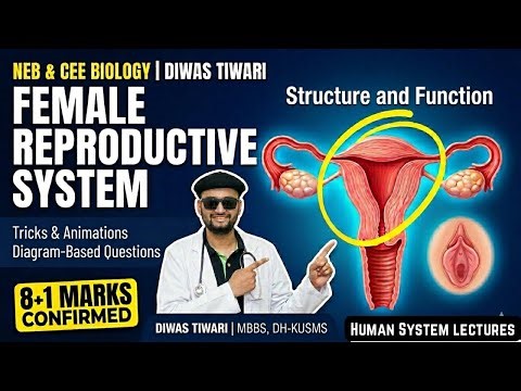 Female Reproductive System in Nepali | NEB & CEE Biolgy | Class 12 | Diwas Tiwari