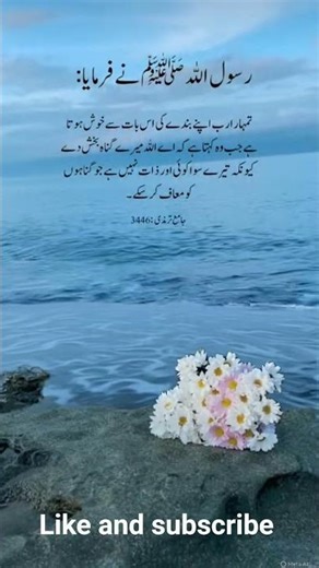 "Sahih Muslim: The True Purpose of Hadith and Its Implementation"#quotes #youtubeshorts#islamicvideo