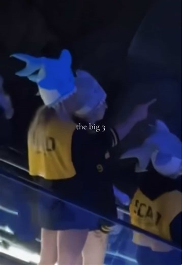 Best Friends Goals: Bruce, Anchor & Chum at Georgia Aquarium