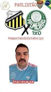 CAMPEÃO DO PAULISTÃO #futebol #paulistão #palmeiras #novohorizontino #abelferreira #tigre #final