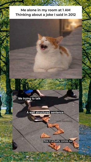 #memes 40 #shorts #shortsmemes