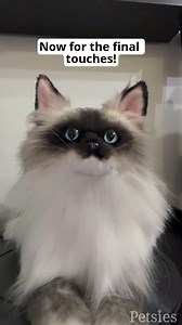 Watch how we airbrush one of our Petsies cats! 🐱🐾 The final touches & airbrush details are so satisfying to watch! Visit MyPetsies.com to get your own Petsie made today. | Petsies