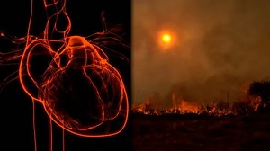 How wildfire smoke affects your heart health
