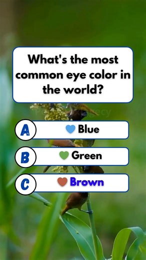 237K views · 13K reactions | ️ Eye Spy: What’s the Most Common Eye Color in the World?  #quiz #QuizTime #fun #noblequiz #fblifestyle | Pediabox Lagecy | Facebook