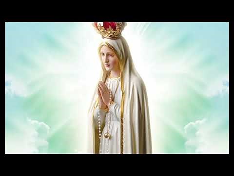 Quando Teu Pai Revelou O Segredo A Maria. (Letra Na Descrição)