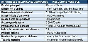 Pisciculture en bac hors-sol: Les clés pour réaliser 12,5 millions de FCFA de marge par an