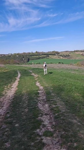 Катерина Германюк на TikTok