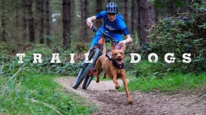 A Cyclist and His Dog Ruby Speed Along a Beaten Path Together in the Short Film 'Trail Dogs'