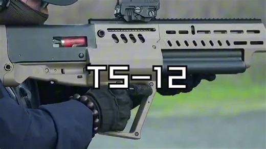 兼顾火力与便携的创新霰弹枪 以色列TS-12