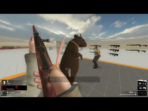 [L4D2]Scout_General Liu Rifle