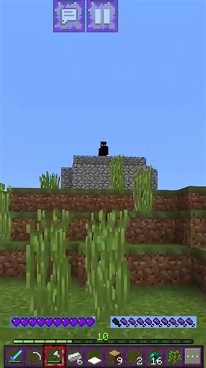 I COULDN'T BELIEVE WHAT APPEARED ON THE CEILING — Minecraft