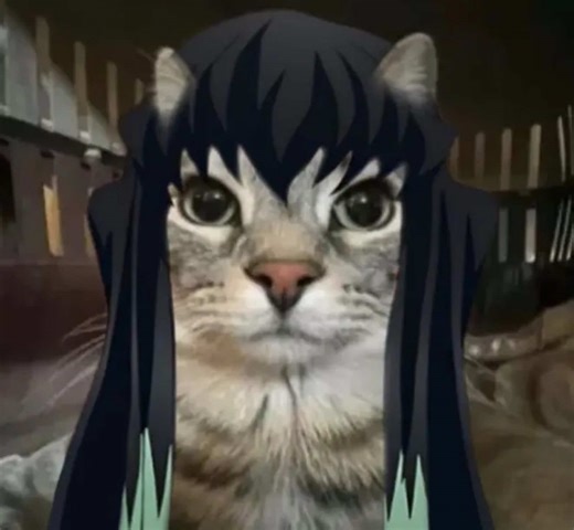 Recomienden AmUleTos o q se yo, el vIda frágil lo tiene la tipa eSa de al lado enTonces necesito fArmear demaSiado geo TODOS #HK #Hollowknight #reypesadillagrimm #grimm #multifandom