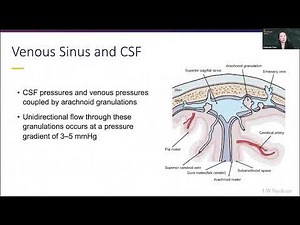 CSF Pathway Anatomy Lesson for Idiopathic Intracranial Hypertension (IIH)