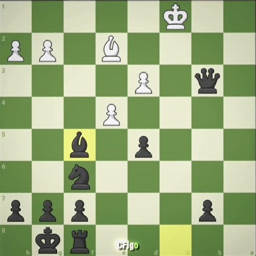 wth?? #chess #langkahpembukaancatur #checkmate #caturterbaru #chessgame #chesscon #shorts #subscribe