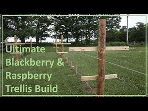 #052: Blackberry and Raspberry Trellis Build